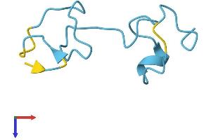 Metallothionein 1H (MT1H) (AA 1-61) protein (Fc Tag)