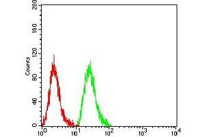 Flow cytometric analysis of Hela cells using MAP1LC3A mouse mAb (green) and negative control (red).