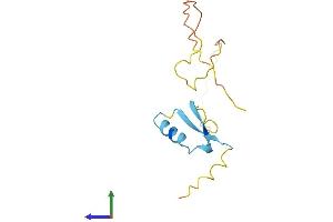 AlphaFold protein structure predicition of Human Recombinant RIPPLY2 Protein, UniprotID Q5TAB7