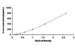 ELISA image for Hemoglobin ELISA Kit (ABIN1118092)