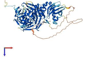 AlphaFold protein structure predicition of Mouse Recombinant Ivns1abp Protein, UniprotID Q920Q8