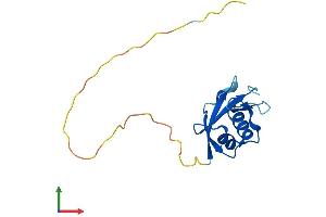 AlphaFold protein structure predicition of Human Recombinant ATG12 Protein, UniprotID O94817