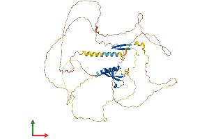 AlphaFold protein structure predicition of Human Recombinant CBX2 Protein, UniprotID Q14781