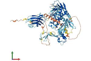 AlphaFold protein structure predicition of Human Recombinant SMURF2 Protein, UniprotID Q9HAU4