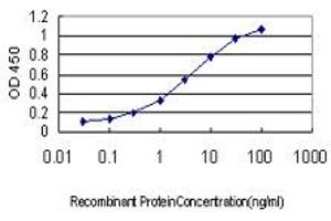 Detection limit for recombinant GST tagged SCGN is approximately 0. (SCGN anticorps  (AA 1-276))