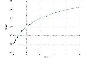Neuron-Derived Neurotrophic Factor (NDNF) ELISA Kit