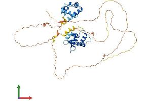 AlphaFold protein structure predicition of Human Recombinant FLI1 Protein, UniprotID Q01543