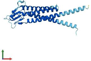 AlphaFold protein structure predicition of Mouse Recombinant Lhfpl3 Protein, UniprotID Q9CTN8