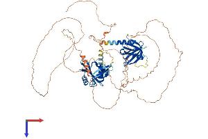 AlphaFold protein structure predicition of Human Recombinant APBB1 Protein, UniprotID O00213