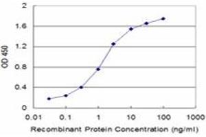 Detection limit for recombinant GST tagged TARBP2 is approximately 0.