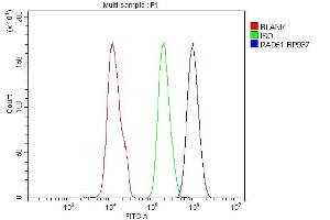 Flow Cytometry analysis of SiHa cells using anti-Rad51 antibody (ABIN6719396). (RAD51 anticorps)