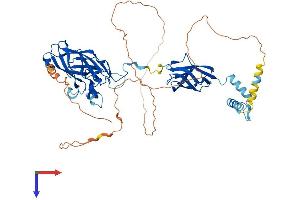 AlphaFold protein structure predicition of Human Recombinant EBF2 Protein, UniprotID Q9HAK2