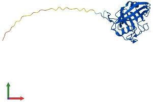 AlphaFold protein structure predicition of Human Recombinant PPIC Protein, UniprotID P45877