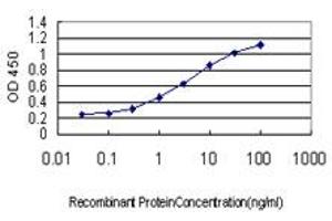 Detection limit for recombinant GST tagged LEP is approximately 0.