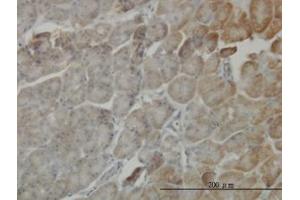 Image no. 1 for anti-Serine/threonine-Protein Kinase MST4 (MST4) (AA 1-138) antibody (ABIN599255)