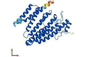 AlphaFold protein structure predicition of Mouse Recombinant Icmt Protein, UniprotID Q9EQK7