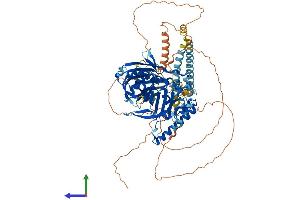 AlphaFold protein structure predicition of Human Recombinant OSBPL7 Protein, UniprotID Q9BZF2