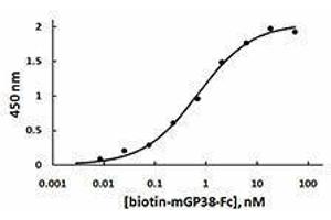 ELISA image for C-Type Lectin Domain Family 1, Member B (CLEC1B) (AA 157-229), (C-Term) (Active) protein (Fc Tag) (ABIN2666791)