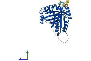 AlphaFold protein structure predicition of Human Recombinant NIPSNAP2 Protein, UniprotID O75323