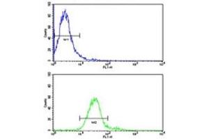 Flow cytometric analysis of NCI-H460 cells using ROR1 antibody (bottom histogram) compared to a negative control (top histogram).