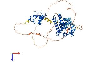 AlphaFold protein structure predicition of Mouse Recombinant Rxrg Protein, UniprotID P28705