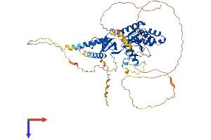 AlphaFold protein structure predicition of Mouse Recombinant Cacnb1 Protein, UniprotID Q8R3Z5