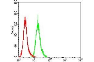 Flow cytometric analysis of Hela cells using MUC5B mouse mAb (green) and negative control (red).