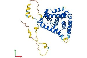 AlphaFold protein structure predicition of Mouse Recombinant Nr0b2 Protein, UniprotID Q62227
