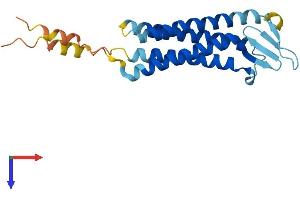 AlphaFold protein structure predicition of Mouse Recombinant Tmem37 Protein, UniprotID Q9JJV3