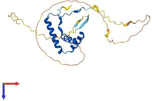 AlphaFold protein structure predicition of Mouse Recombinant Sox14 Protein, UniprotID Q04892