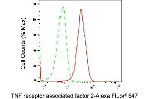 Flow cytometric analysis of TNF receptor associated factor 2 expression in HAP-1 cells using TNF receptor associated factor 2 antibody (ABIN7800563), 1:2,000). (Recombinant TRAF2 anticorps)