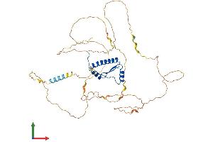 AlphaFold protein structure predicition of Human Recombinant MEF2C Protein, UniprotID Q06413