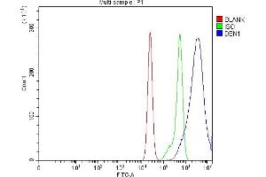 Flow Cytometry analysis of CACO-2 cells using anti-Drebrin/DBN1 antibody (ABIN7602638). (DBN1 anticorps  (AA 9-649))
