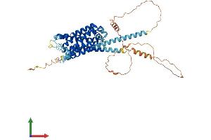 AlphaFold protein structure predicition of Mouse Recombinant Hrh1 Protein, UniprotID P70174