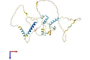 AlphaFold protein structure predicition of Mouse Recombinant Fam110b Protein, UniprotID Q8C739