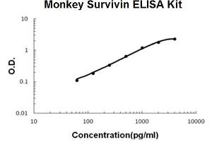 Monkey Primate Survivin PicoKine ELISA Kit standard curve