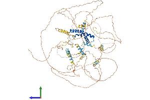 AlphaFold protein structure predicition of Mouse Recombinant Bbx Protein, UniprotID Q8VBW5