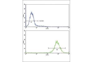Flow Cytometry (FACS) image for anti-Malate Dehydrogenase 2, NAD (Mitochondrial) (MDH2) antibody (ABIN3001706)