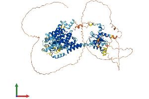 AlphaFold protein structure predicition of Human Recombinant SLC26A8 Protein, UniprotID Q96RN1