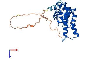 AlphaFold protein structure predicition of Human Recombinant GCA Protein, UniprotID P28676