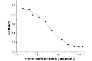 Activity Assay (AcA) image for Biglycan (BGN) (AA 38-368) (Active) protein (His tag) (ABIN7607375)