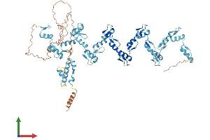 AlphaFold protein structure predicition of Human Recombinant ZNF470 Protein, UniprotID Q6ECI4