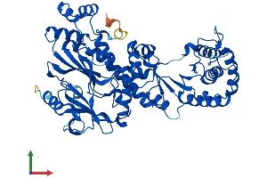 AlphaFold protein structure predicition of Human Recombinant NAPRT Protein, UniprotID Q6XQN6