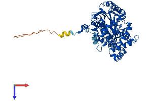 AlphaFold protein structure predicition of Mouse Recombinant Kyat3 Protein, UniprotID Q71RI9