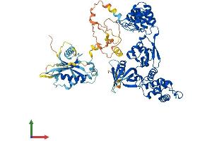 AlphaFold protein structure predicition of Mouse Recombinant Krit1 Protein, UniprotID Q6S5J6