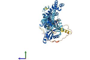 AlphaFold protein structure predicition of Human Recombinant NUB1 Protein, UniprotID Q9Y5A7