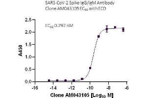 SARS-CoV-2 Spike IgG/IgM Antibody (AM043105) tested by ELISA using SARS Spike protein ECD. (Recombinant SARS-CoV-2 Spike IgG/IgM anticorps)