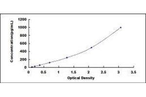 Neuron-Derived Neurotrophic Factor (NDNF) ELISA Kit