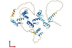 AlphaFold protein structure predicition of Human Recombinant ZNF649 Protein, UniprotID Q9BS31