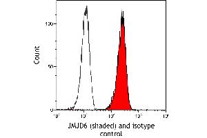 anti-Jumonji Domain Containing 6 (JMJD6) (AA 125-175) antibody